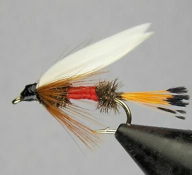 WET Feather Wing Royal Coachman - 1 dozen